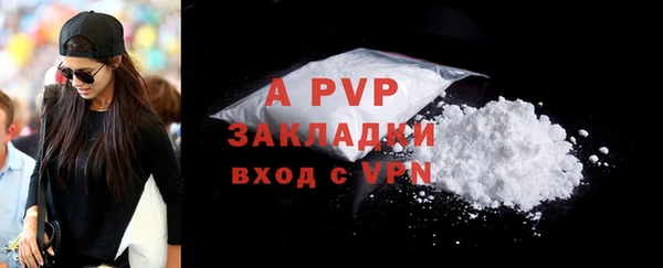 стафф Алексин