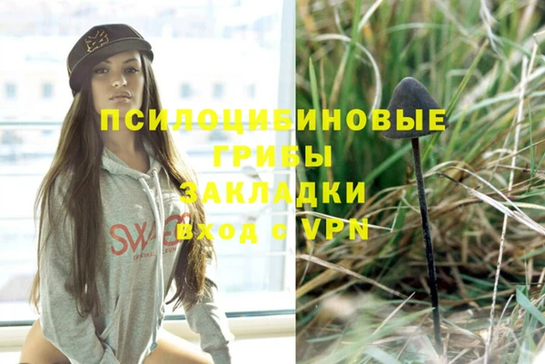 прущая мука Новодвинск