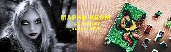 стафф Алексин