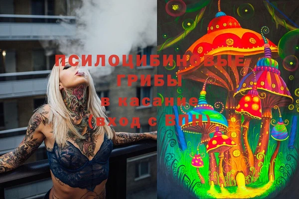 кокс Алзамай