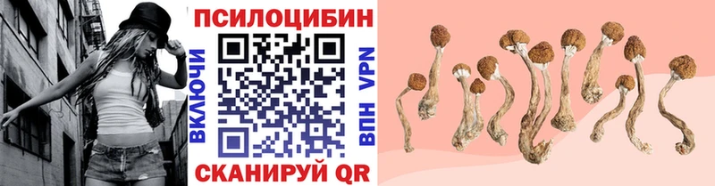 МЕГА сайт  Лаишево  Галлюциногенные грибы MAGIC MUSHROOMS 